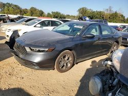 Honda Accord salvage cars for sale: 2024 Honda Accord EX