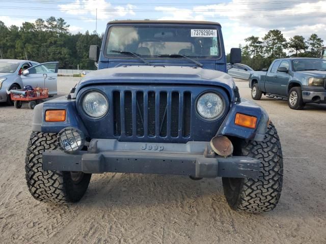 2001 Jeep Wrangler / TJ Sport