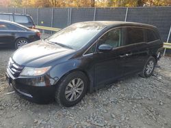 Honda Odyssey exl Vehiculos salvage en venta: 2014 Honda Odyssey EXL