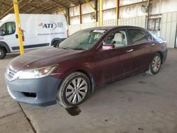 Salvage cars for sale from Copart Phoenix, AZ: 2013 Honda Accord EX