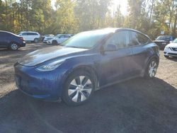 Tesla Model y salvage cars for sale: 2021 Tesla Model Y