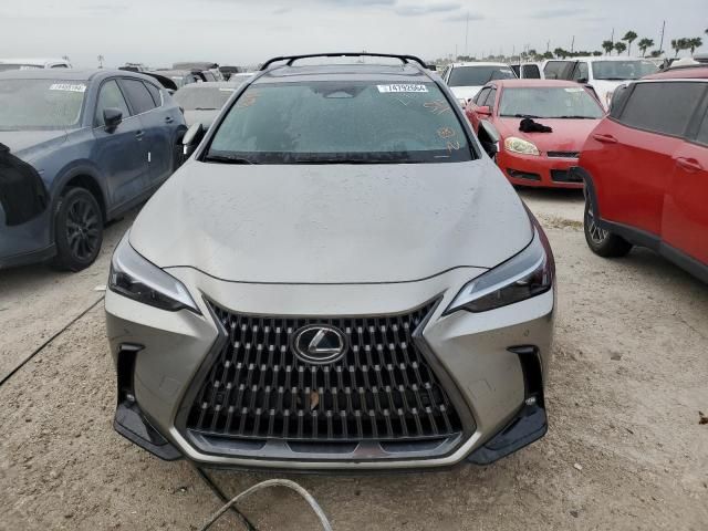 2025 Lexus NX 250 Premium