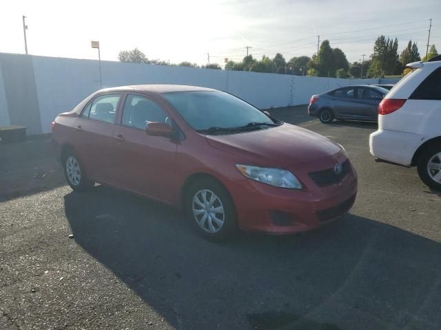 2010 Toyota Corolla Base