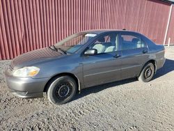 Salvage cars for sale from Copart London, ON: 2004 Toyota Corolla CE