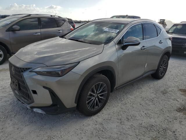 2024 Lexus NX 250 Premium