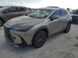 Lexus nx 250 pre salvage cars for sale: 2024 Lexus NX 250 Premium