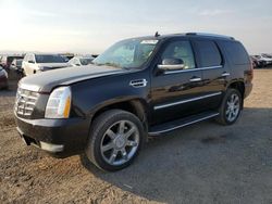 Cadillac Escalade salvage cars for sale: 2008 Cadillac Escalade Luxury