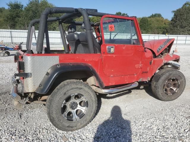 1993 Jeep Wrangler / YJ