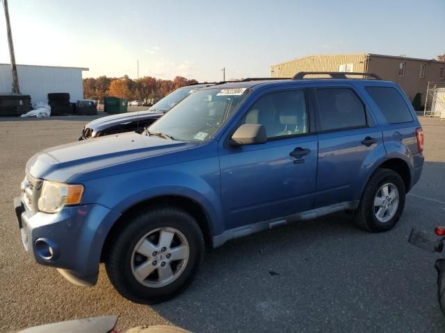 2010 Ford Escape XLT