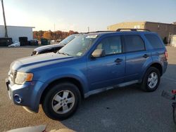 Ford Escape salvage cars for sale: 2010 Ford Escape XLT