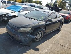 Scion salvage cars for sale: 2006 Scion TC