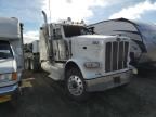2015 Peterbilt 389