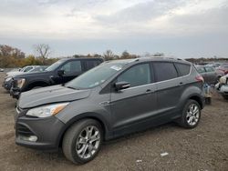 Ford salvage cars for sale: 2014 Ford Escape Titanium