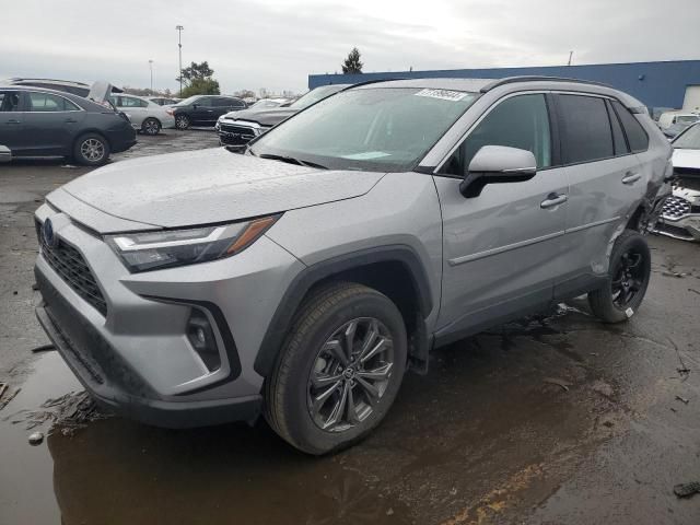 2023 Toyota Rav4 XLE Premium