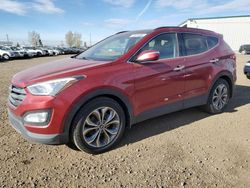 Hyundai Santa fe salvage cars for sale: 2014 Hyundai Santa FE Sport