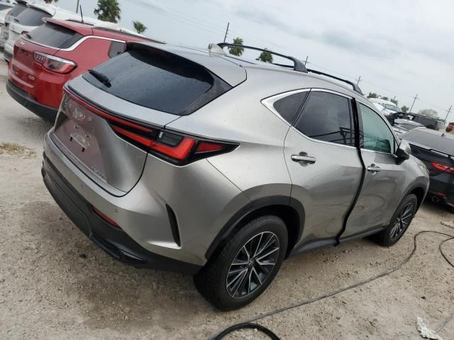 2025 Lexus NX 250 Premium