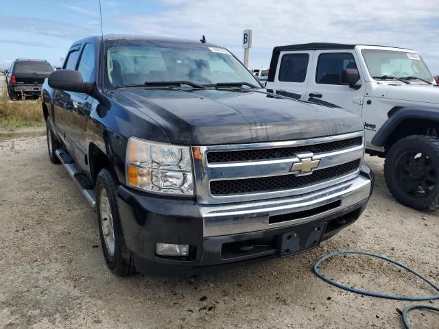 2010 Chevrolet Silverado C1500 LT