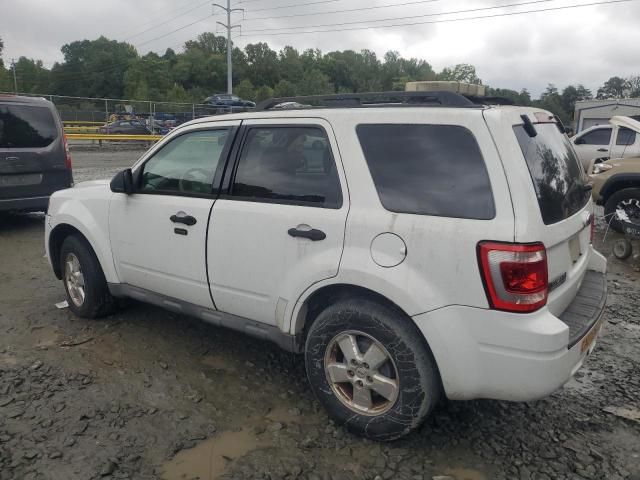 2010 Ford Escape XLT