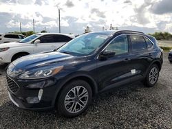 Ford Escape sel salvage cars for sale: 2021 Ford Escape SEL