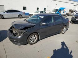 Toyota Corolla salvage cars for sale: 2010 Toyota Corolla Base