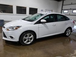 Ford Focus salvage cars for sale: 2014 Ford Focus SE