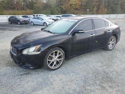 Nissan Maxima salvage cars for sale: 2011 Nissan Maxima S