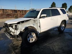 Toyota 4runner salvage cars for sale: 2024 Toyota 4runner SR5