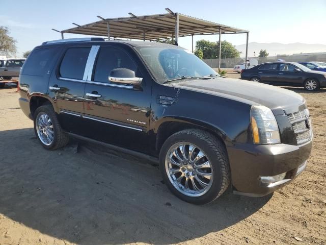 2013 Cadillac Escalade Premium