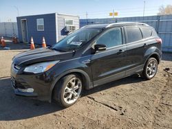 Ford Escape salvage cars for sale: 2014 Ford Escape Titanium