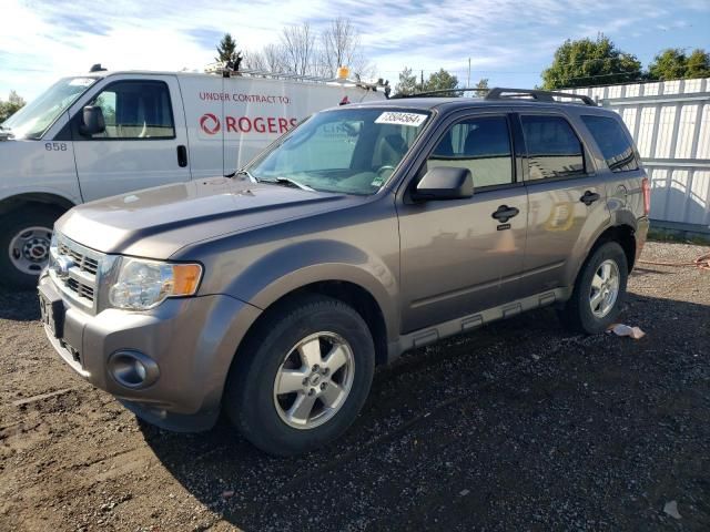 2012 Ford Escape XLT