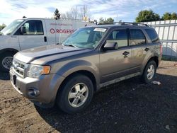 Salvage cars for sale from Copart Bowmanville, ON: 2012 Ford Escape XLT