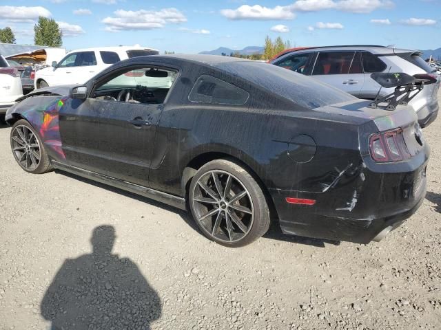 2013 Ford Mustang