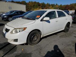 Toyota Vehiculos salvage en venta: 2009 Toyota Corolla Base