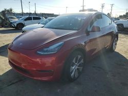 Tesla salvage cars for sale: 2021 Tesla Model Y