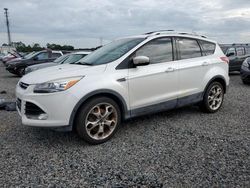 Ford Escape salvage cars for sale: 2016 Ford Escape Titanium