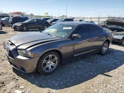 Dodge Charger salvage cars for sale: 2014 Dodge Charger R/T