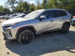 Toyota rav4 salvage cars for sale: 2023 Toyota Rav4 SE