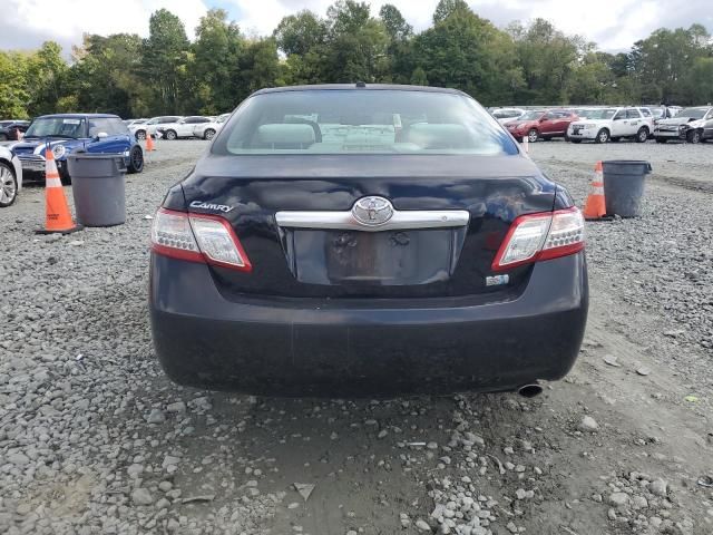 2010 Toyota Camry Hybrid