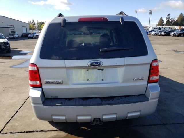 2008 Ford Escape XLT