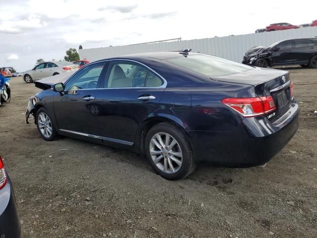 2010 Lexus ES 350