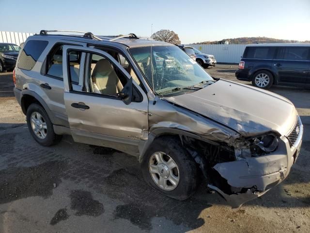 2001 Ford Escape XLT