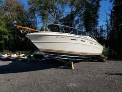 Vehiculos salvage en venta de Copart Ontario Auction, ON: 1978 Sea Ray Boat