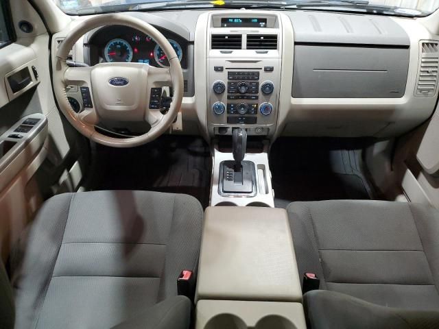 2009 Ford Escape XLT