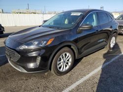 Ford Escape salvage cars for sale: 2022 Ford Escape SE