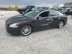 Nissan Maxima salvage cars for sale: 2010 Nissan Maxima S