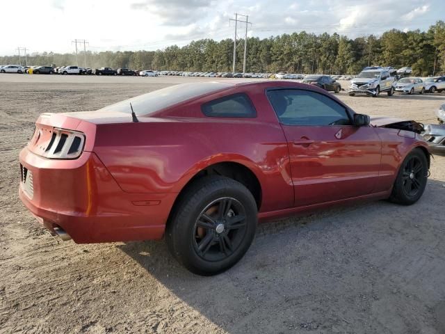 2014 Ford Mustang