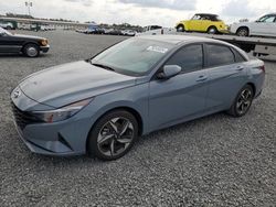 Hyundai Elantra salvage cars for sale: 2023 Hyundai Elantra SEL