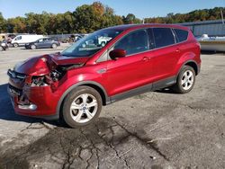 Ford Escape salvage cars for sale: 2013 Ford Escape SE