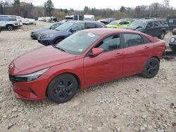 Hyundai Elantra salvage cars for sale: 2021 Hyundai Elantra SEL