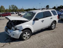 Ford Escape salvage cars for sale: 2010 Ford Escape XLT